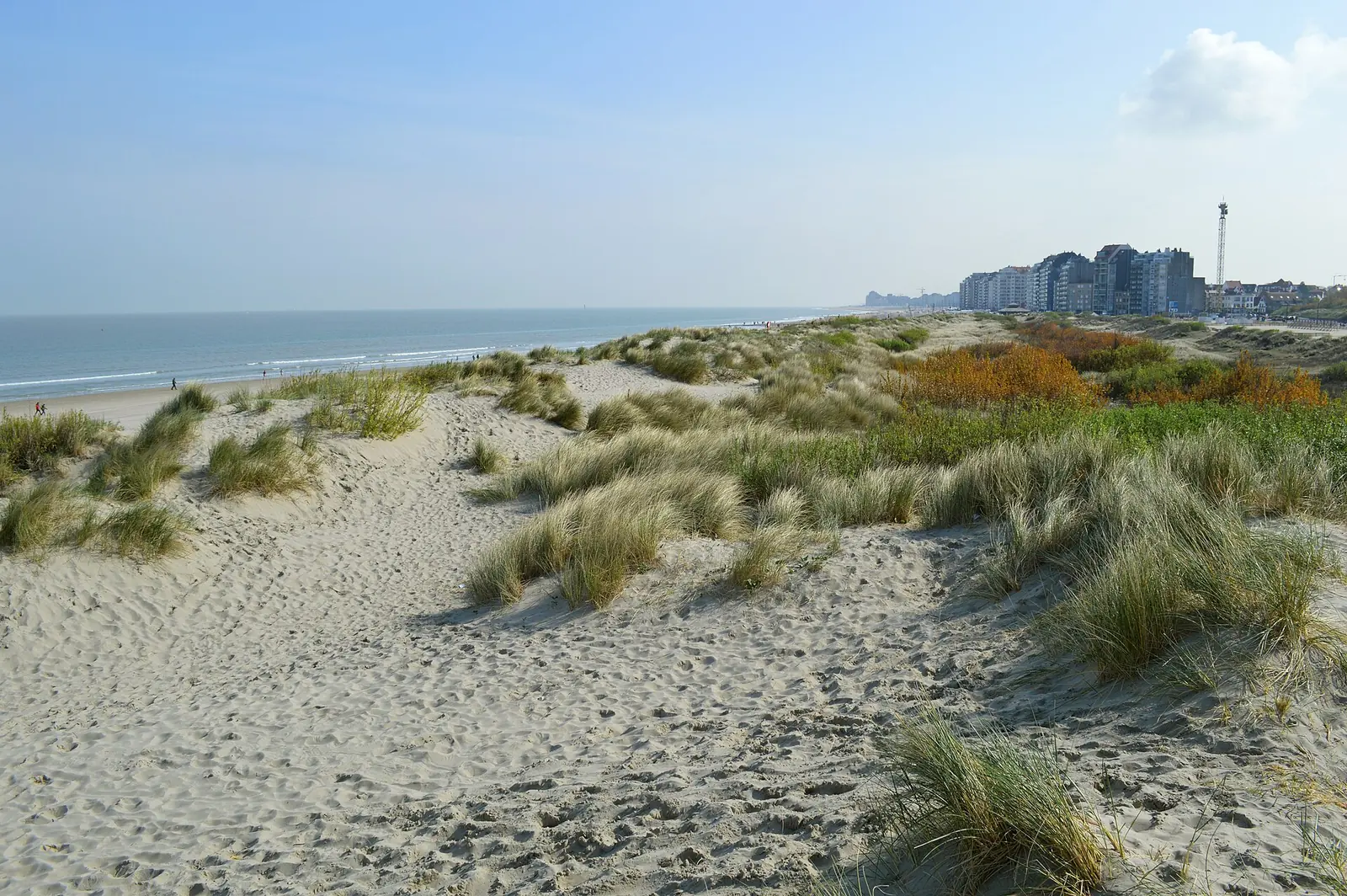 Dunes between Heist and Duinbergen, Knokke-Heist, 2014